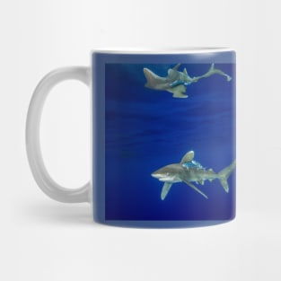 Cruising Oceanic White Tip And Surface Reflection Mug